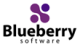 Blueberry Software logo