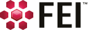 Visualization Sciences Group (FEI) logo