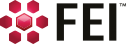 Visualization Sciences Group (FEI) logo