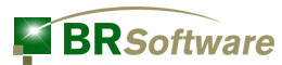BR Software logo