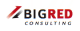 BIGRED Consulting logo