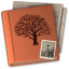 MacFamilyTree icon