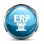 SAP ERP icon