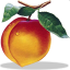 Peachtree Complete Accounting icon