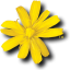 Amiga Forever icon