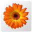 Artweaver icon