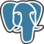 pgAdmin icon
