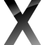 Mac OS X Server icon
