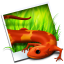 Rawzor Photo icon