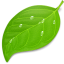 Coda for Mac icon