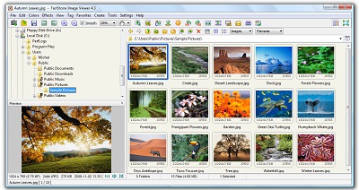 Zrzut ekranu FastStone Image Viewer