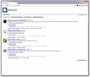 chrome extensions manager