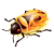 Firebug logo