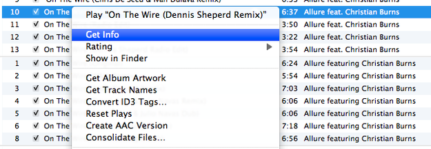 Menu Ottieni Informazioni di iTunes