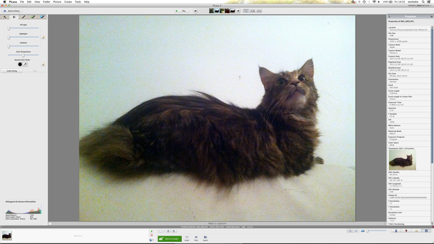 Picasa editing mode