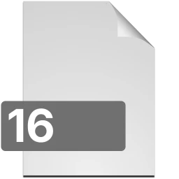 16 icon