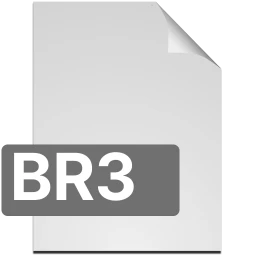 br3 icon