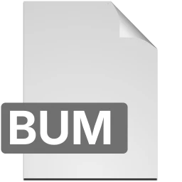 Ikona bum
