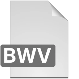 Icono bwv