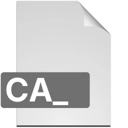 Ícone ca