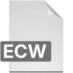 ecw icon