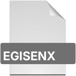 egisenx icon