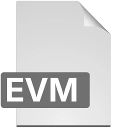 evm icon
