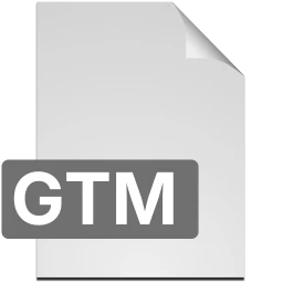 gtm icon