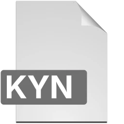 Icône kyn