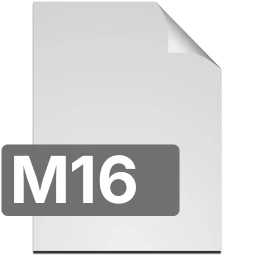 m16 icon