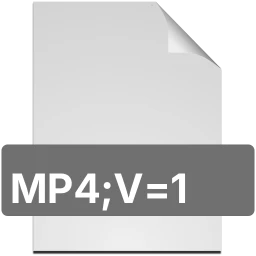 Icono mp4;v=1