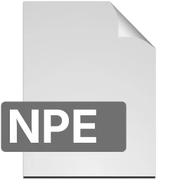 npe icon