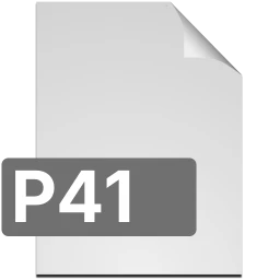 Ikona p41