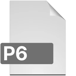 p6 icon