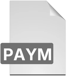icona paym