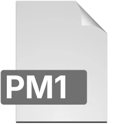 pm1 icon