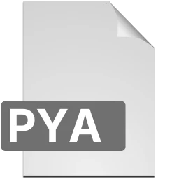 Ikon pya
