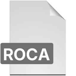 Ikona roca