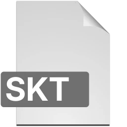 Ícone skt