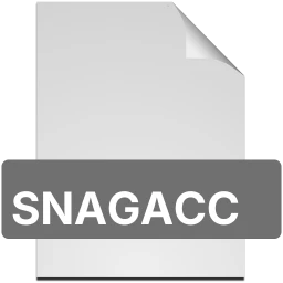 Ikon snagacc