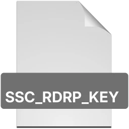 Icono ssc_rdrp_key