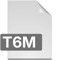 t6m icon