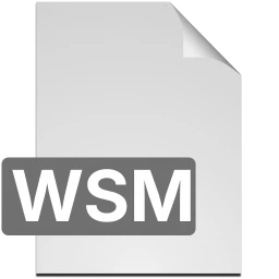 Icono wsm