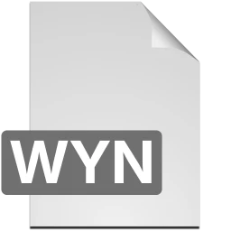Ikon wyn