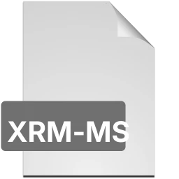 icona xrm-ms