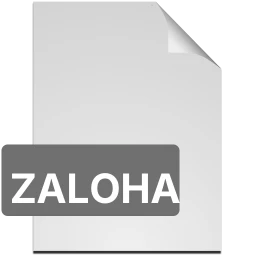 zaloha icon