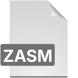 zasm icon